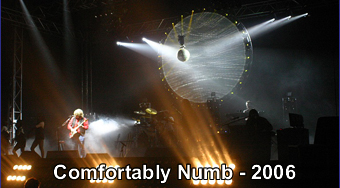 Comfortably Numb 2006